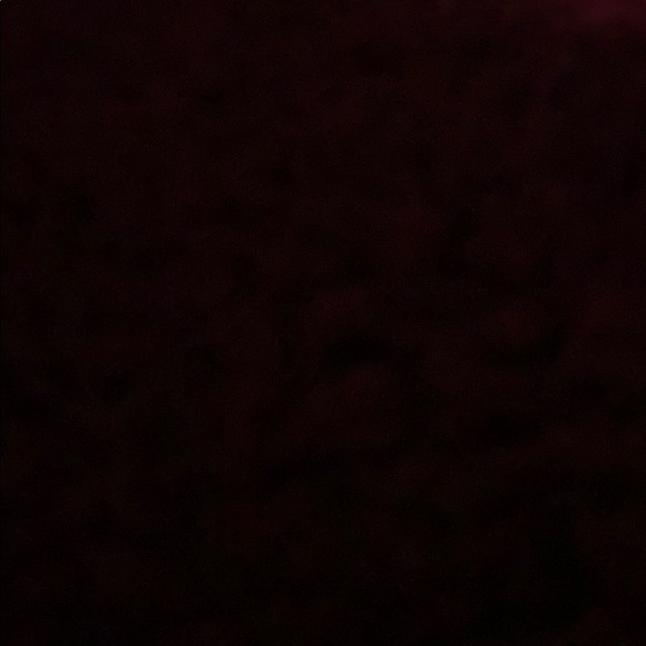 Meet your Posher, Riley - Picture 1 of 1